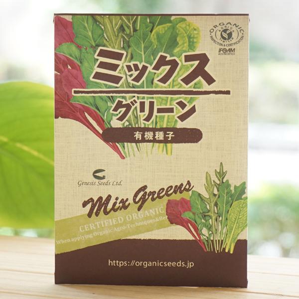 ~bNXO[ (L@q) 200 i`CtXe[V