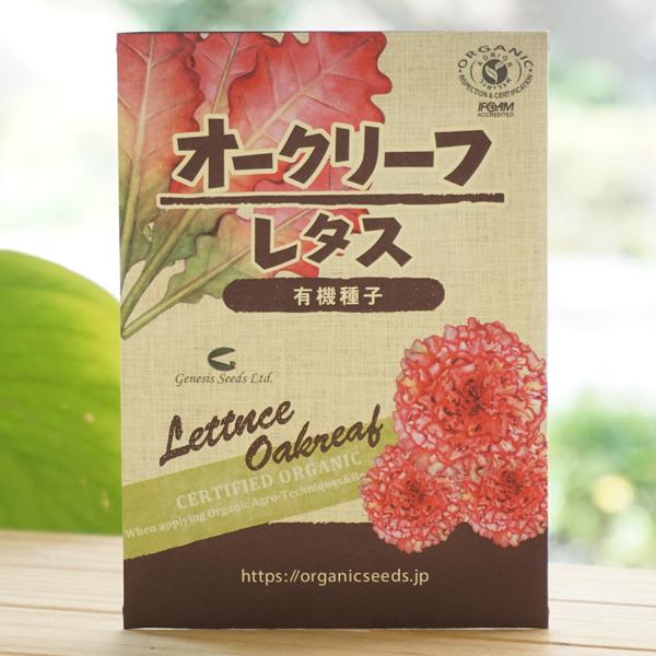 I[N[t^X (L@q) 330 i`CtXe[V