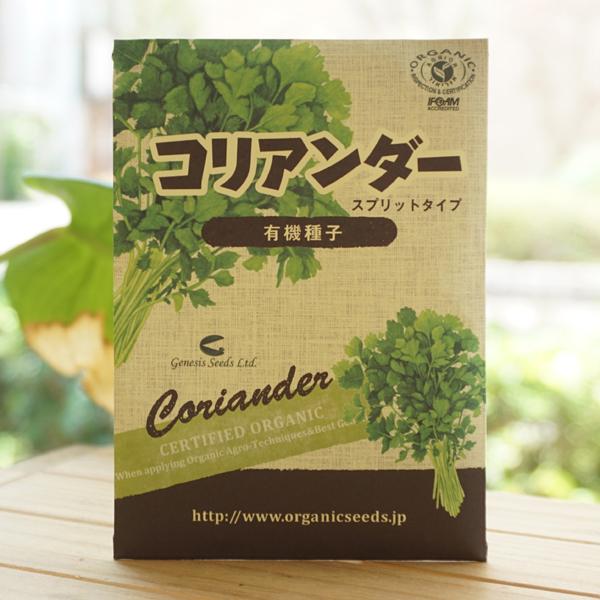 RA_[ Xvbg^Cv (L@q) 120 i`CtXe[V