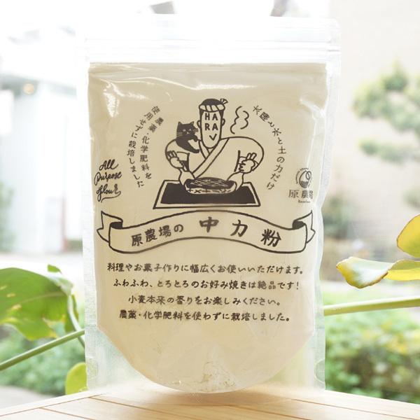 品種はチクゴイズミ 手打ちうどん、お好み焼き、 ケーキ、クッキー、 天ぷらなどに【原料名】小麦(熊本県産)【内容量】400g※商品画像内の記載の賞味期限は写真撮影時のもので出荷の商品は賞味期限内のものをお送りします。