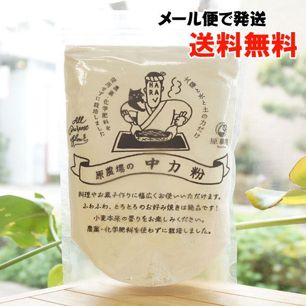 品種はチクゴイズミ 手打ちうどん、お好み焼き、 ケーキ、クッキー、 天ぷらなどに【原料名】小麦(熊本県産)【内容量】400g※商品画像内の記載の賞味期限は写真撮影時のもので出荷の商品は賞味期限内のものをお送りします。