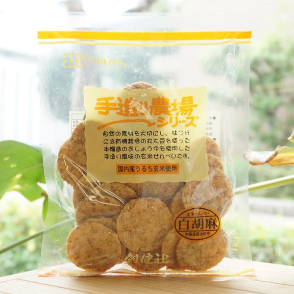 葢_V[Y Ăׂ (Ӗ) 100g n