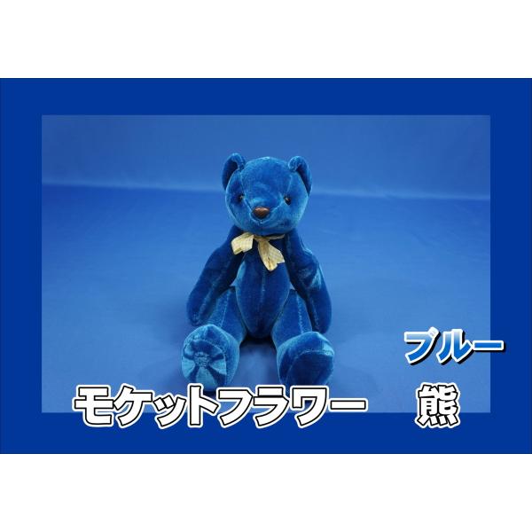 モットクマ　青　ブルー kenz_040307-1242