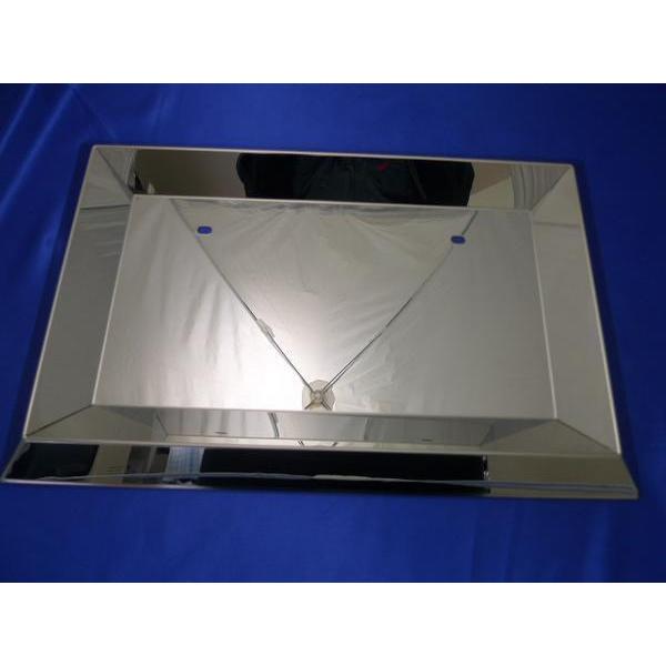 中型用ステンレス40角山型ナンバープレート枠 : トラック