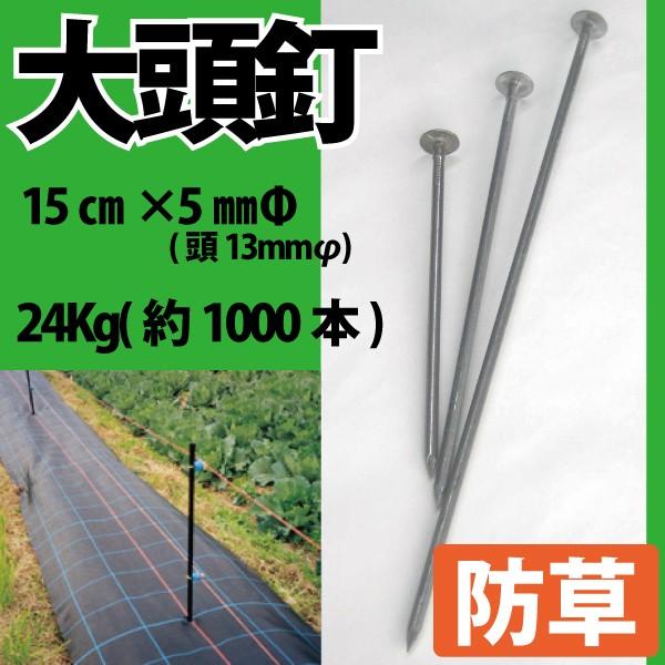 哪B 15cm 24Kg 1000{