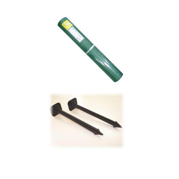 f| O[rX^vV[gQSOO[iP×ROjƃR^s{bV[eTOZbg