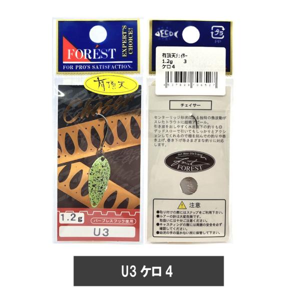 kermit_chaser12-u24_3_d_20240607163724