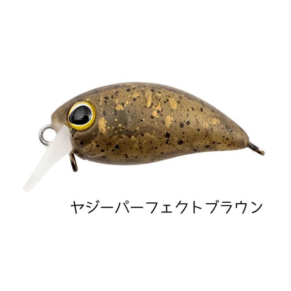 kermit_chibi-pani-sr-ss_4_d_20250528165013