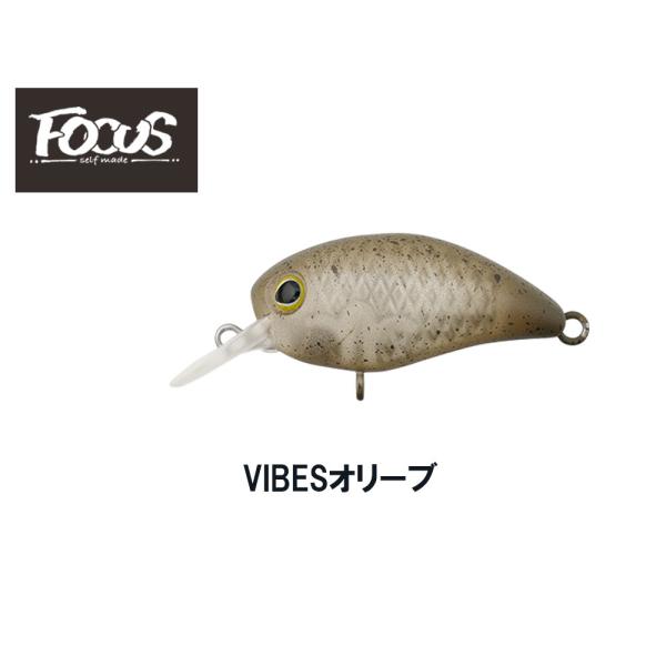 kermit_npanicra-dr-rattle_1_d_20251119171031