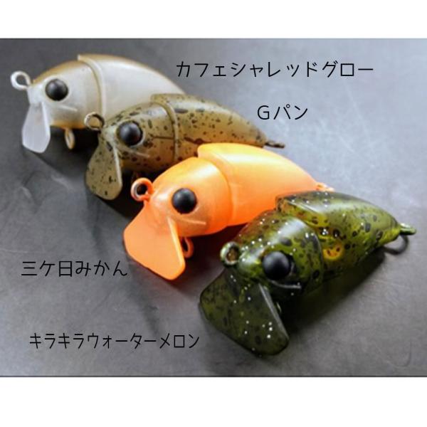 kermit_sokotoro-1091_1_d_20260110163016