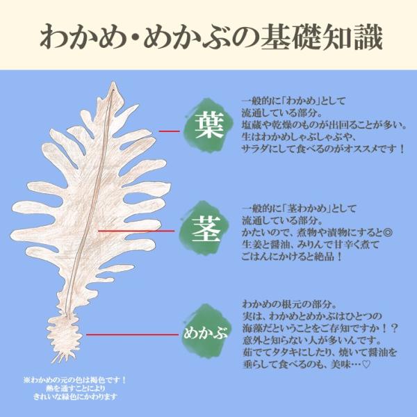 わかめ めかぶ 新芽 生わかめ めかぶセット わかめ500g めかぶ250g 万能タレ 浜造り 180ml2本付 丸繁商店 新物 ヘルシー Buyee 日本代购平台 产品购物网站大全 Buyee一站式代购 Bot Online