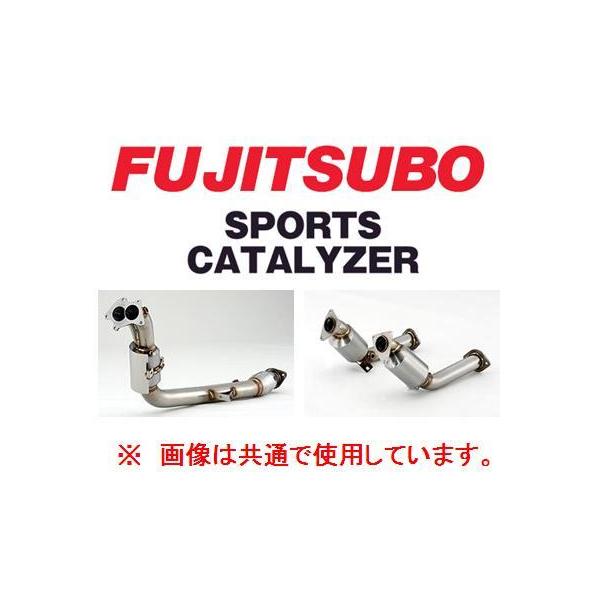 key-point002_cfujfuj-cat-1