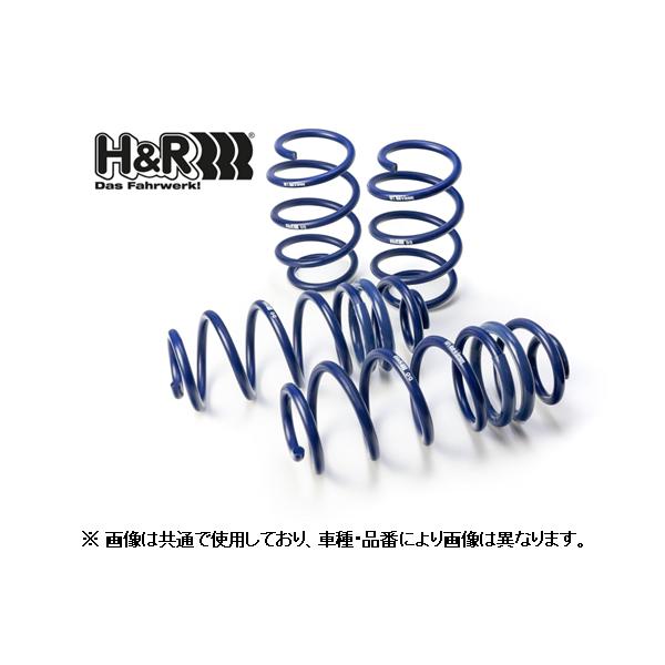 H＆R ダウンサス VW ゴルフ5 GTX/GTI 1KAXX 29176-1