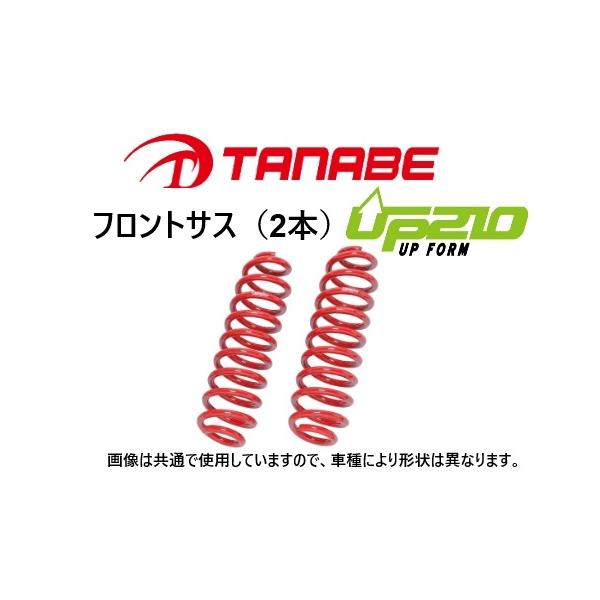 TANABEタナベアップ210 アップサス　RAV4 アドベンチャー key-point002_up210-f-0017