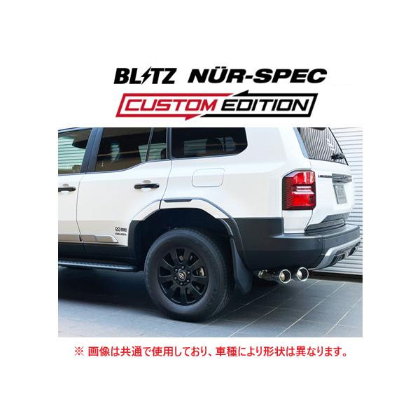 BLITZ 個人宅OK ブリッツ ニュルスペック カスタムエディション