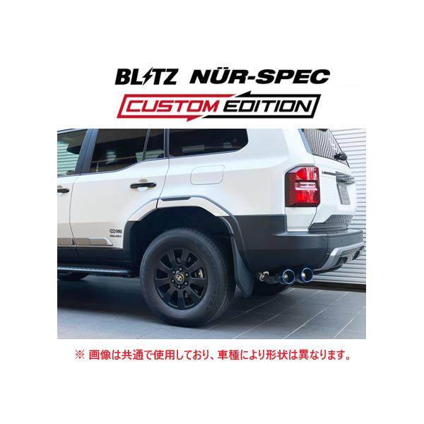 BLITZ（ブリッツ） 個人宅OK ニュルスペック カスタムエディション