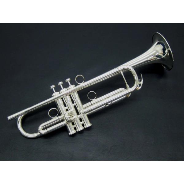 Brasspire unicorn BPTR-750SS
