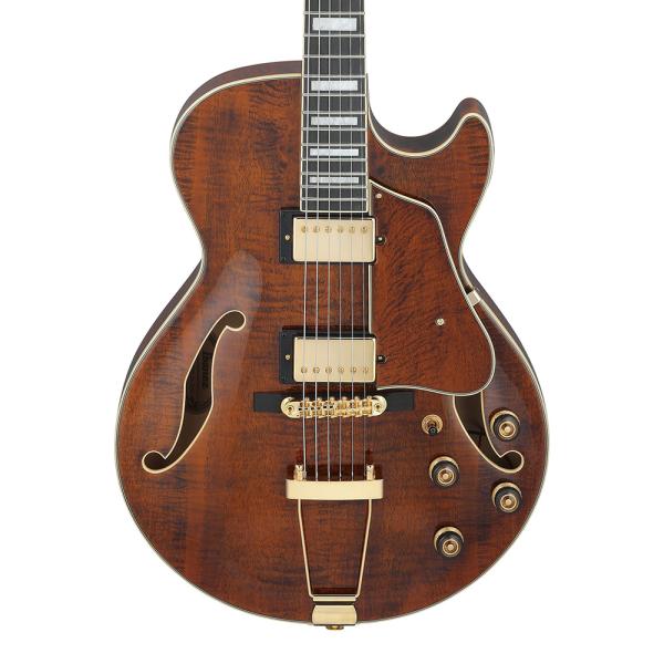 Ibanez AG95MG-DA