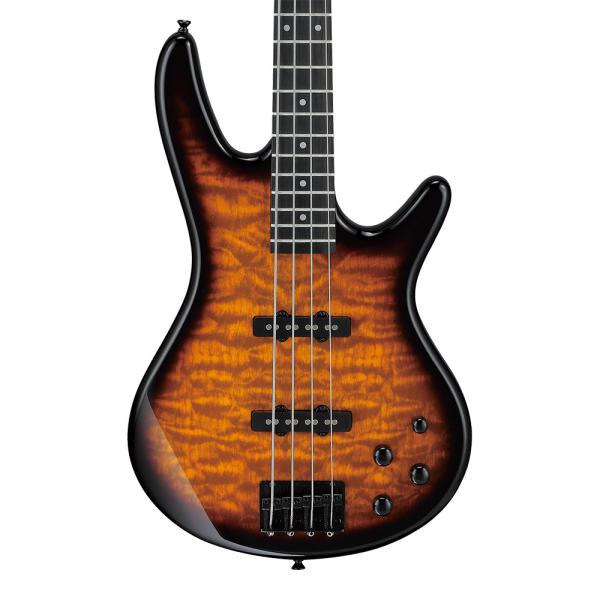 Ibanez Gio GSR280QA-TYS (Transparent Yellow Sunburst)