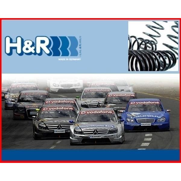 H&amp;R ダウンサス アストンマーチン DB9 ヴォランテ　29148-2