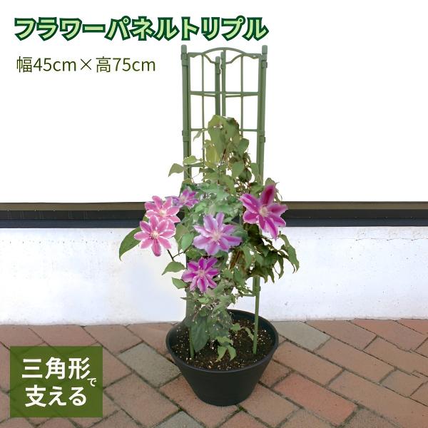 差し込むだけで簡単に設置できます！お庭をワンランクグレードアップしませんか？組立て不要であっという間にトレリスが完成！広げてプランターに差し込んでトレリスに！三角に折りたためばあんどん風に。植物になじみやすいグリーンカラーです。使わないとき...