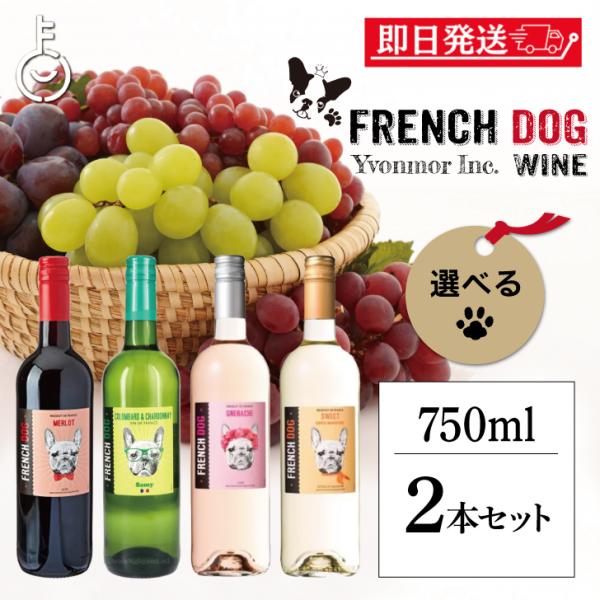 在庫処分 ボルドー 金賞 フレンチドッグ ワイン 2本 フランス 赤 白