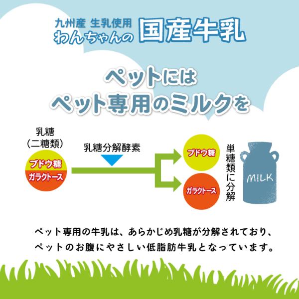 keyroom_key3849_2_d_20241128095655