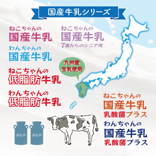 keyroom_key3849_5_d_20241128095700