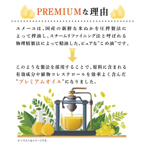 keyroom_key4515_2_d_20250114201801