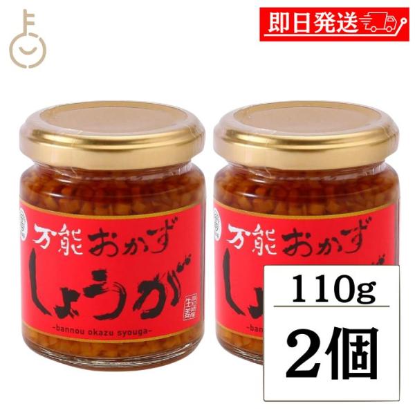 ※沖縄への配送不可。自動キャンセルとなります。高知県産生姜の香りが広がる、万能おかずしょうが。高知県産の生姜を細かく刻み、醤油漬けに仕上げた万能調味料です。ご飯、豆腐、肉料理、魚料理、サラダ、卵焼きなど幅広い料理に相性抜群。そのままでも、ご...