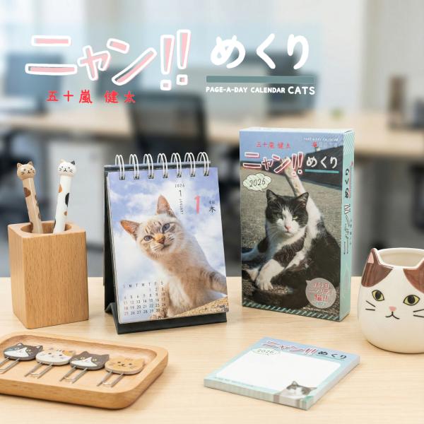 五十嵐健太氏 カレンダー『 ニャン!!めくり』 2026年 日めくりカレンダー カレンダー 卓上 日めくり 猫 アニマル