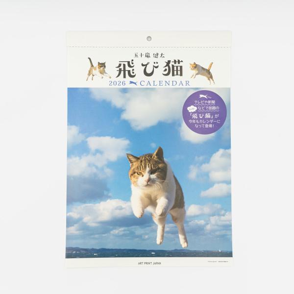 五十嵐健太氏 カレンダー『 飛び猫』カレンダー 2026年 壁掛け 卓上カレンダー 日めくりカレンダー 飛び猫カレンダー カレンダー 猫 動物 写真 令和8年