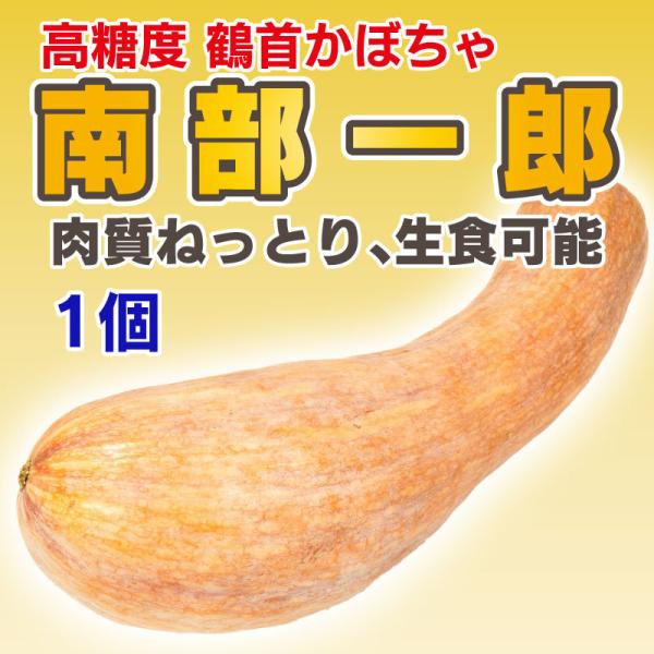 南部一郎 かぼちゃ カボチャ 鶴首 1本 岩手県産 0361b006 農家の台所yahoo 店 通販 Yahoo ショッピング