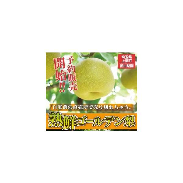 埼玉県産 梨の人気商品 通販 価格比較 価格 Com