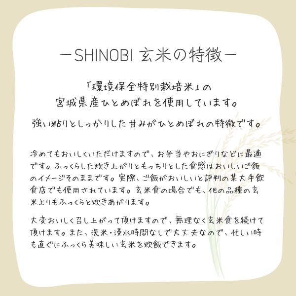 �V�m�r�{�f�B SHINOBI �{�錧�Y�ЂƂ߂ڂ� ����5KG�i�ߘa7�N�x�Y�E���ۑS���ʍ͔|�āj ���i�摜3