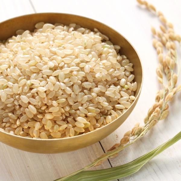 �V�m�r�{�f�B SHINOBI �{�錧�Y�ЂƂ߂ڂ� ����10KG�i�ߘa7�N�x�Y�E���ۑS���ʍ͔|�āj ���i�摜2
