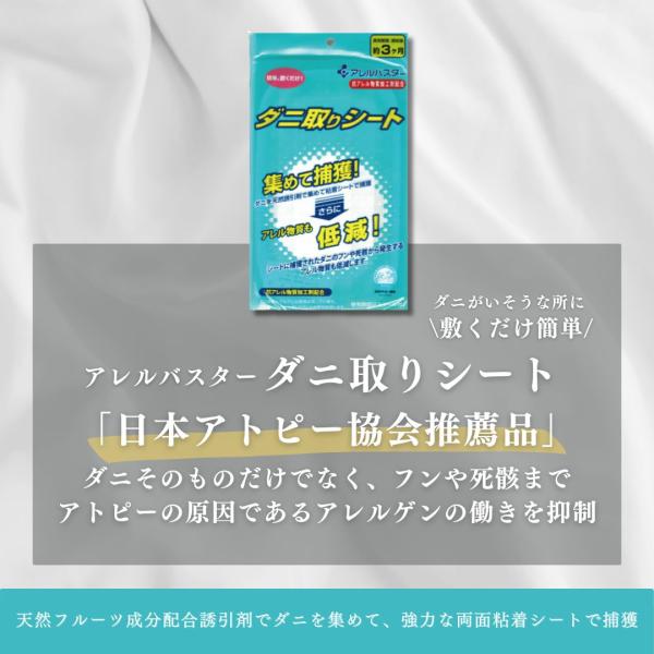�A�����o�X�^�[ �_�j���V�[�g1�� ���i�摜1