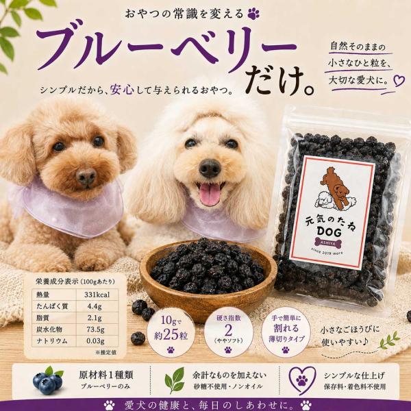 犬 おやつ 無添加 ブルーベリー 砂糖不使用 犬のおやつ 内容量をご選択ください 元気のたね