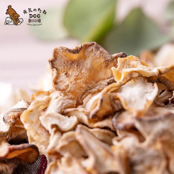 犬 おやつ 国産 無添加 菊芋 きくいも 10g 菊芋チップス サプリ 菊芋イヌリン キクイモ スライス 犬のおやつ 低カロリー 低脂肪 いぬ ドックフード 元気のたね