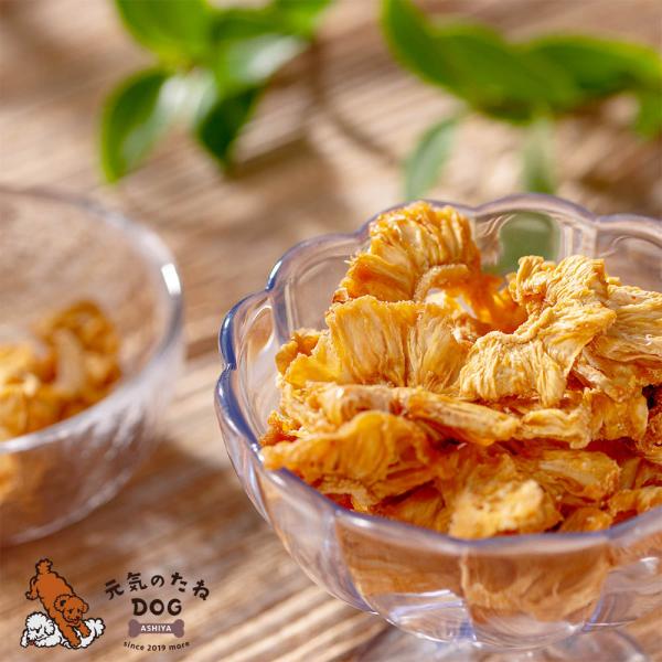 犬用無添加ドライ野菜ドライフルーツ kfvfruit_dog-pain-40