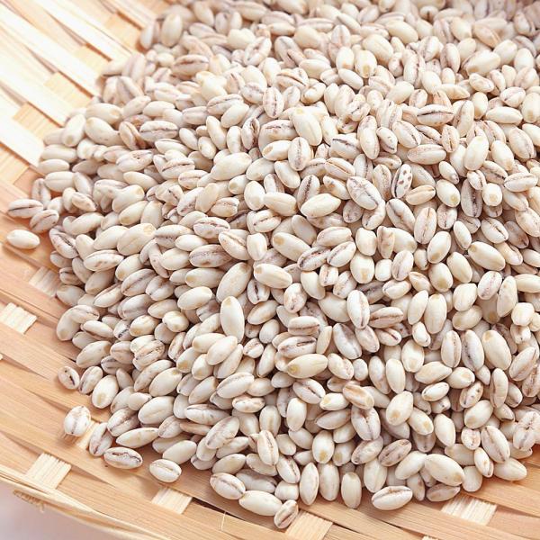 国産もち麦の通販 価格比較 価格 Com