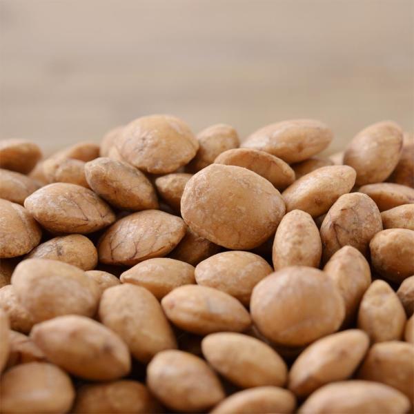 T`C`ibc fĂ 900g ibc  Y  [Xg F sgp ibc Hp X[p[t[h NHi IK3