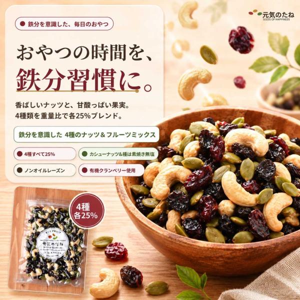 ひとつかみ鉄分習慣 4種のナッツ＆フルーツミックス 200g カシューナッツ かぼちゃの種 レーズン 有機クランベリー  元気のたね