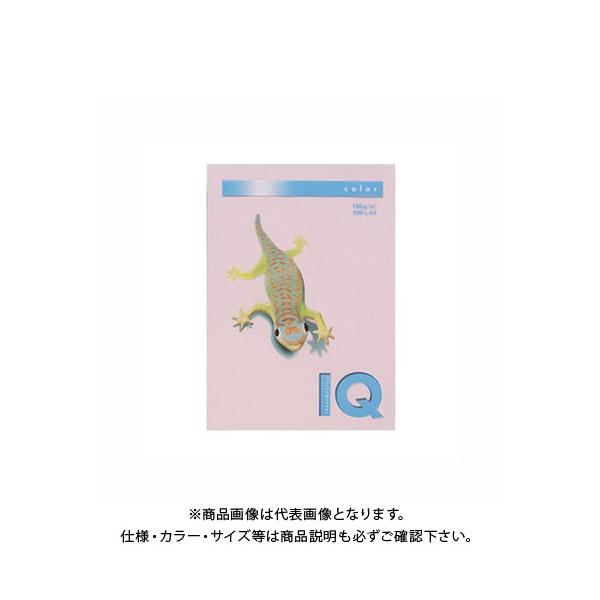 ɓ oCIgbvJ[A4(250) BT831 t~S