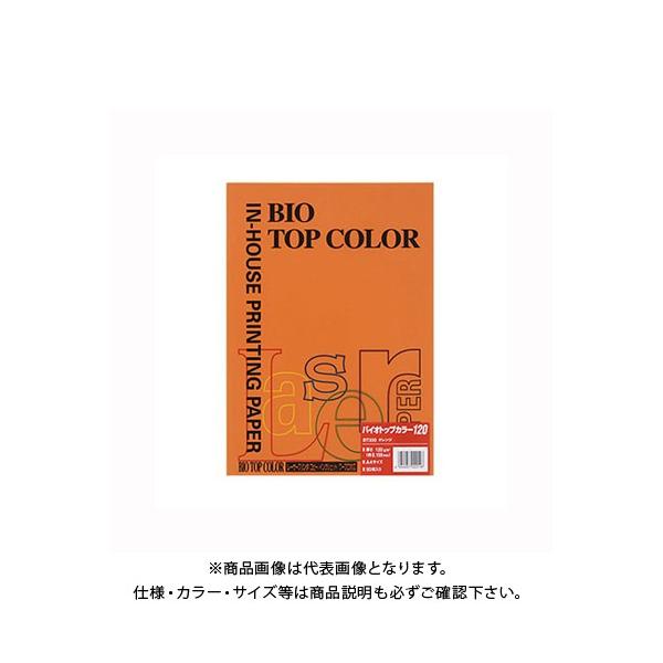 ɓ oCIgbvJ[A4 (50) BT333 IW