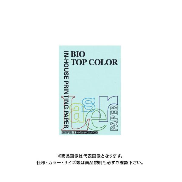 ɓ oCIgbvJ[A4(100) BT108 ~fBAu[