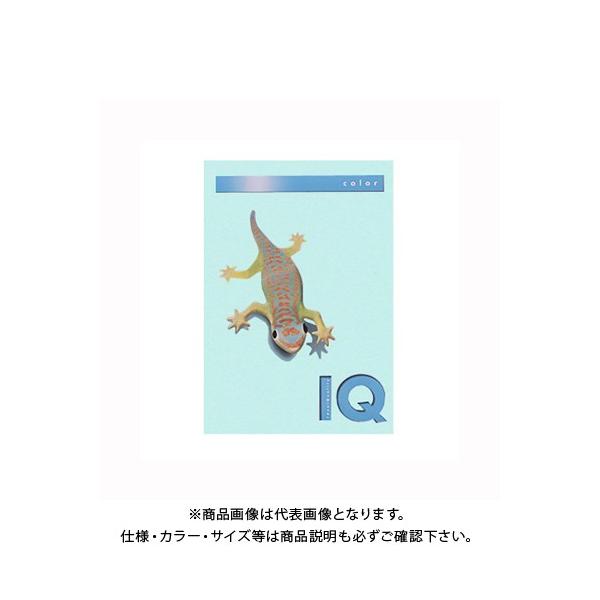 ɓ oCIgbvJ[A4(500) BT508 ~fBAu[