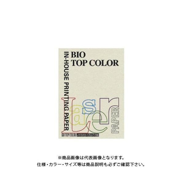 ɓ oCIgbvJ[A4(100) BT109 O[