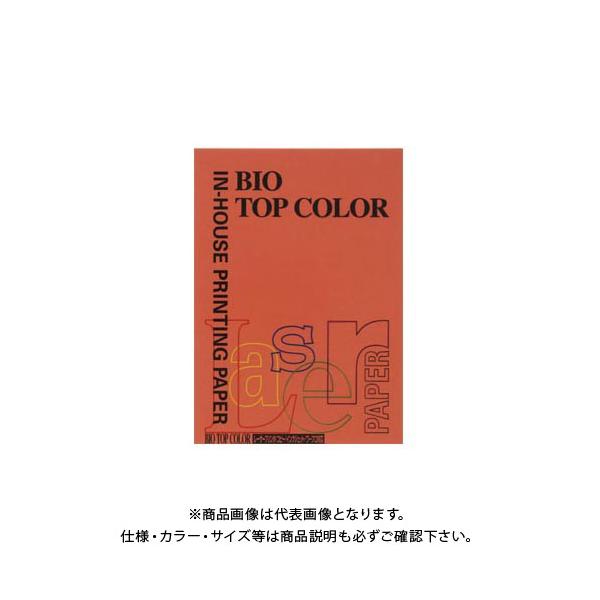 ɓ oCIgbvJ[A4(100) BT119 ubNbh