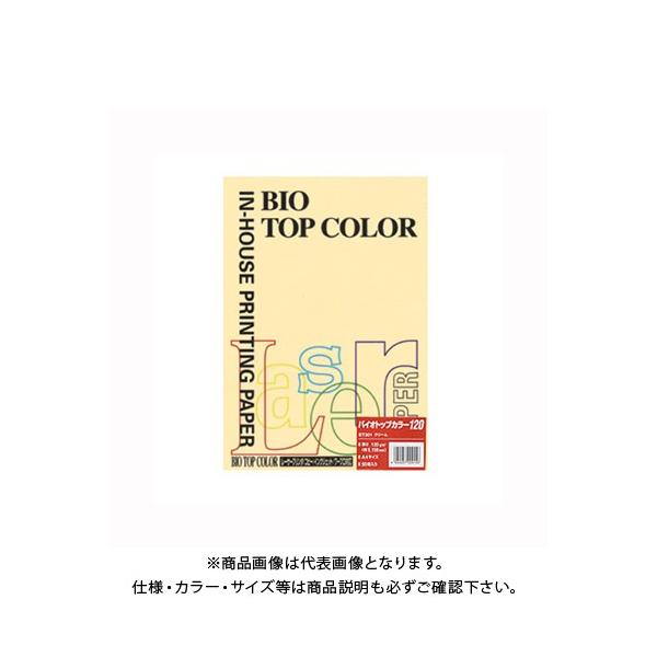 ɓ oCIgbvJ[A4 (50) BT301 N[